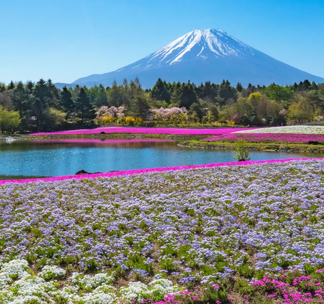 ビーコンステイ