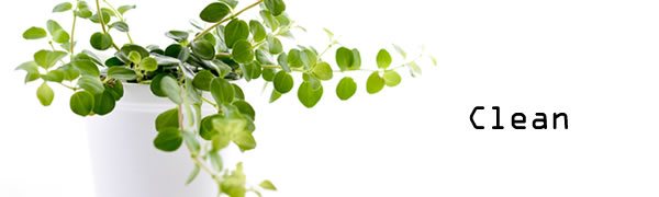 Clean